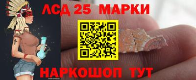 мет Можга