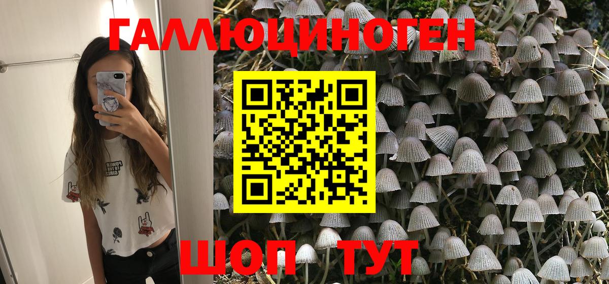 Псилоцибиновые грибы ЛСД  Псилоцибиновые грибы GOLDEN TEACHER  Сочи  Вход с VPN 