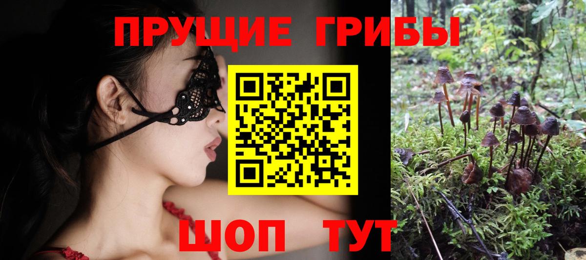 Галлюциногенные грибы Psilocybine cubensis Сочи